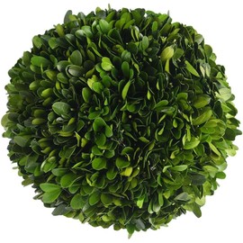 BOXWOOD WORLD Decorative Boxwood Balls for Bowls and Decorative Balls for Centerpiece Bowl Fillers Vase Fillers Home/Kitchen/Living Room Decor (8 inch)