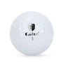 12 PCS/ Pack Dual Layer Tournament Golf Ball Training Practice