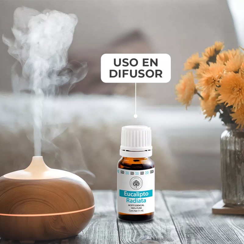 Árbora Eucalipto Aromaterapia Aceite Esencial 100% Puro Certificado
