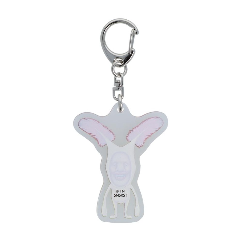 Sunstar Bungu Kobito Zukan Key Holder, Acrylic, C Pattern S8347298