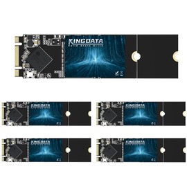 KINGDATA SSD M.2 2280 64 GB Ngff Unidad de estado sólido interna de alto rendimiento para computadora portátil SATA III 6 Gb/s (M.2 2280,64 GB x 5 unidades)