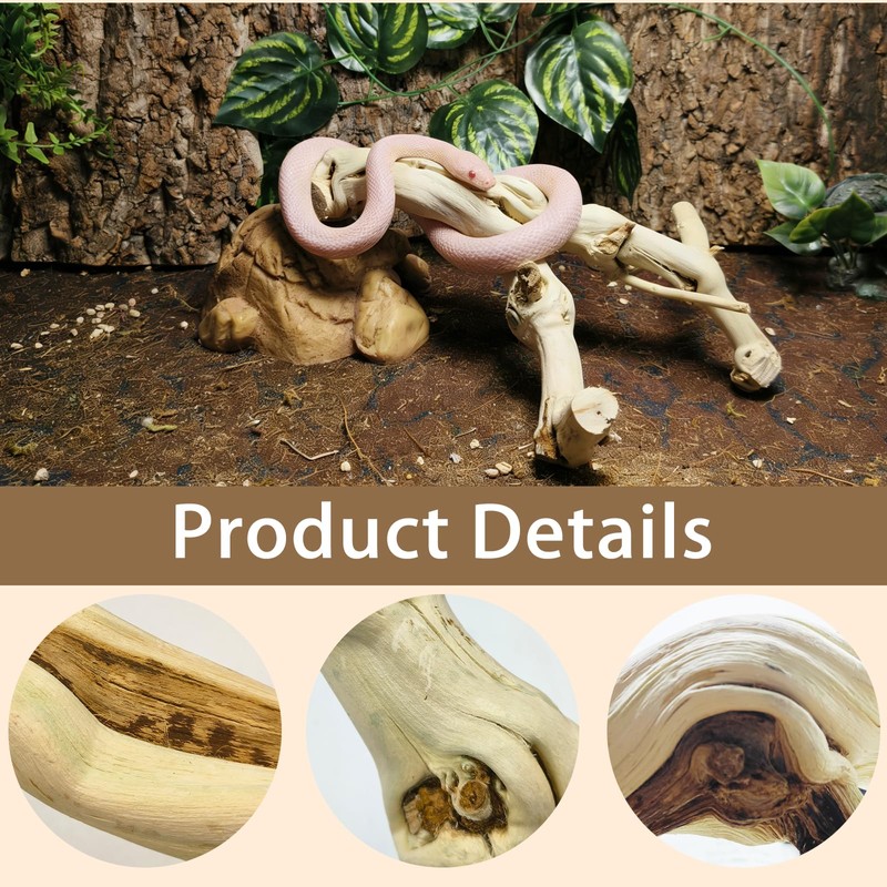 BNOSDM Reptile Branches, 9.5-11.4inch Snake Climbing Branch, Terrarium Wood Branch