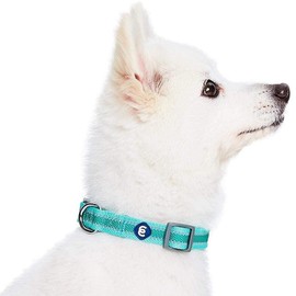 Blueberry Pet Essentials Dog Collar Pack of 2 - Reflective Dog Collars for Medium Dogs, Dog Collar for Large Dogs, Adjustable Minty Green Pet Collar with Eco-Friendly Buckles, Medium Size
