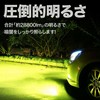 Meliore LED Fog Light Fog Light 12V 24V Green Apple