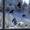 UV Reflective Anti-Collision Window Bird Stickers, Window Static Decals Glass