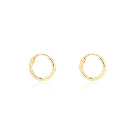 9ct Yellow Gold Hoop 10x1.5 mm Earrings