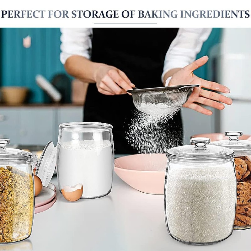 CATPOWER 2.5 Gallon Wide Mouth Glass Storage Jars with Lids