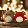 Christmas Crochet Kit for Beginners Adults - Christmas Axolotl Crochet