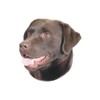 Nobby Sticker Labrador Brown