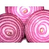 Onion RED Creole Great Heirloom Vegetable by Seed Kingdom Bulk