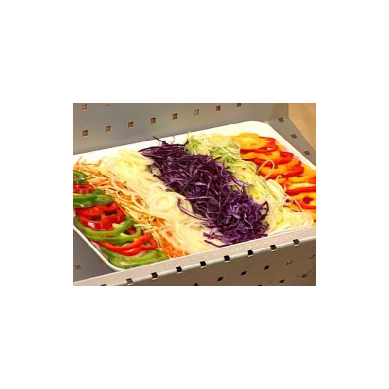 TNS 2000 Vegetable Slicer (Blue/Black)