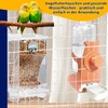 Automatic Feeder Birds and Water Dispenser Transparent Acrylic Bird Feeder