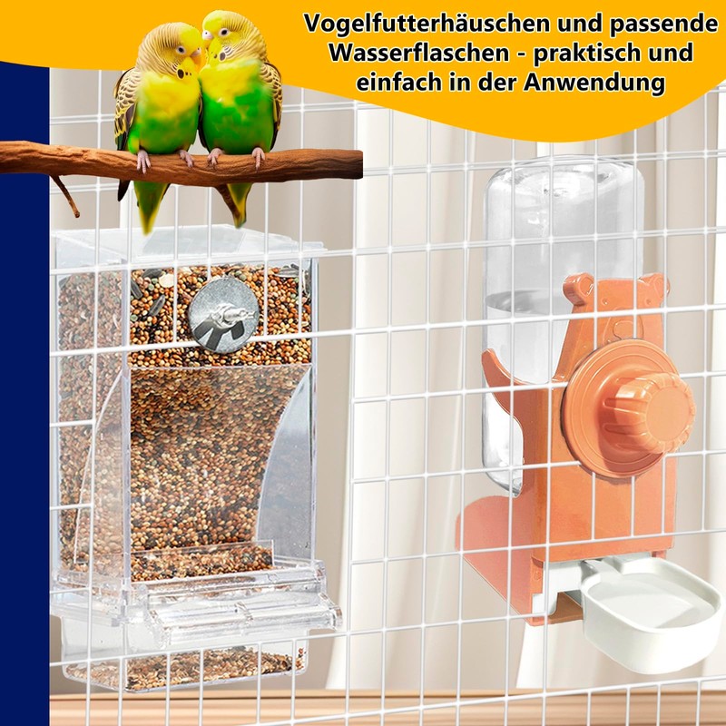 Automatic Feeder Birds and Water Dispenser Transparent Acrylic Bird Feeder