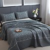Queen Size Quilt, Embossed Floral and Grid Reversible Bedspread Set,