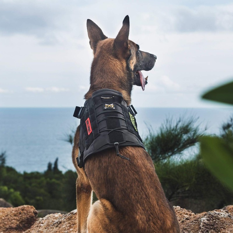OneTigris Tactical Dog Harness Vest,No-Pull Service Dog Vest with Hook