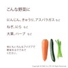 OKA Refrigerator Storage Vegetable Stand Green, Approx. 4.2 x 8.1
