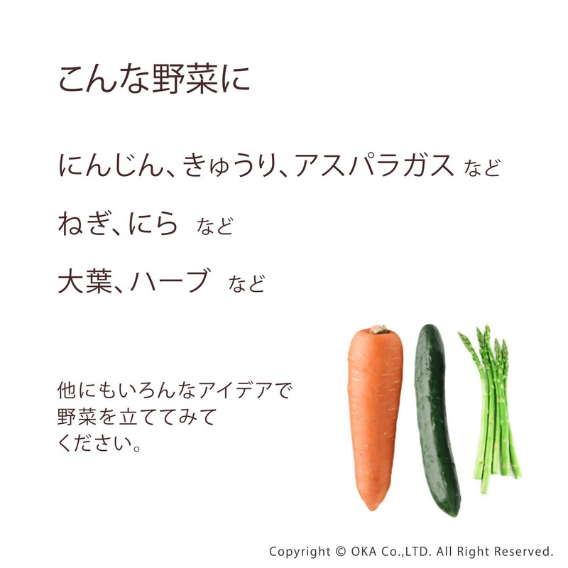 OKA Refrigerator Storage Vegetable Stand Green, Approx. 4.2 x 8.1