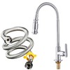 Kitchen Swivel Faucet with Cold Water Hose, Stainless Steel (AA)