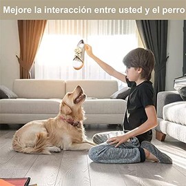 Zapatos de Juguete para Perro，Muelas de Perro Juguetes Duraderos para Masticar para Perros，Vocalización Juguete Seguro Chirriante para Perros，Juguetes