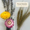 2‑Pack Shatter‑Resistant Vase Set with Natural Dried Flowers, Black and
