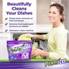 Powerizer Complete Laundry Powder Detergent & Multipurpose Cleaner | 1