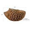Classic Home and Garden 9/3431R/1 Hedgehog Planter, Small, Rust