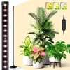 Bstrip Standing Grow Light for Indoor Plants, Vertical Grow Light