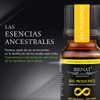 Bienat Aromaterapia Mezcla de Aceites Esenciales Dias Productivos (Nuez moscada,