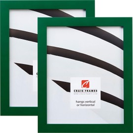 Craig Frames Confetti, 17 x 22 Inch Picture Frame, Modern Green, Set of 2