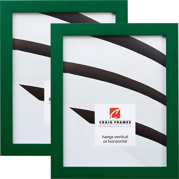 Craig Frames Confetti, 17 x 22 Inch Picture Frame, Modern