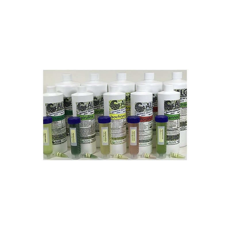 Algae Research Supply Algae Culture Chlorella Vulgaris, Perfect for School