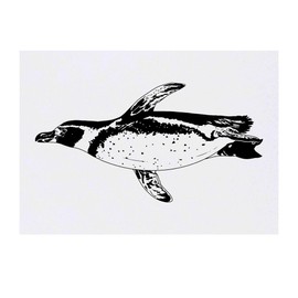 'Swimming African Penguin' Temporary Tattoo - Water Resistant, Skin-Safe, Non-Toxic Transfer (TO00085247)