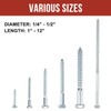 HROMIGRY 1/4" x 2" Lag Bolts (100 Pcs) 1/4 inch