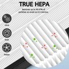 Nispira EverestAir-P EverestAir-RF 2-In-1 True HEPA Activated Carbon Filter Replacement