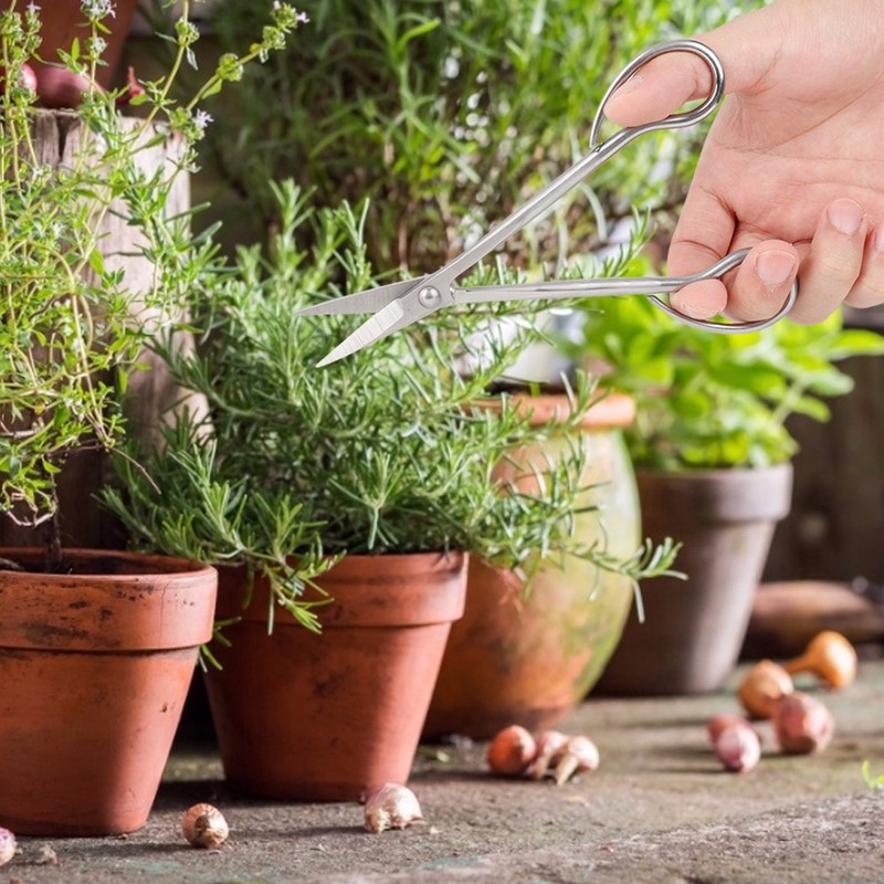 Stainless Steel Bonsai Scissors Bonsai Shear Long Handle Scissors 185mm