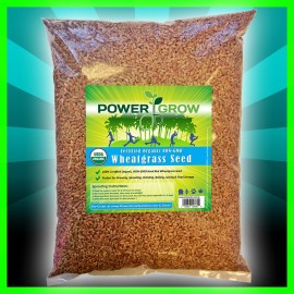 PowerGrow Systems Wheat Grass / Cat Grass Seeds ~ Certified USDA Organic Amounts up to 50 LBS BULK - 2,000