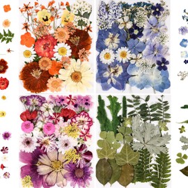 Más de 110 piezas de flores prensadas para moldes de resina, hojas secas de flores para hacer joyas de resina, flores secas para álbumes de recortes, manualidades, velas de jabón,