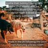Probiotics For Dogs | 2 Billion CFU | Soothe Itchy