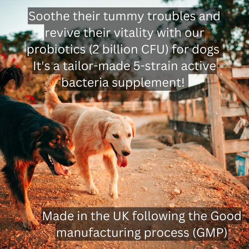 Probiotics For Dogs | 2 Billion CFU | Soothe Itchy