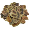 Dried Senna Pods Herbal Tea 85 g - 1.95 kg
