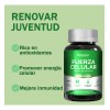 Nad 60 Capsulas,suplementos Bioteep 30 Das Sin Sabor
