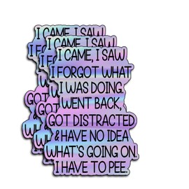 (3Pcs) I Came I Saw I Forgot What I Was Doing Stickers Funny Sarcastic Quote Humor Motivational Inspirational Gifts Waterproof Vinyl Decals for Kindle Water Bottle Bumper Car Hard Hat Phone Laptop 3x2