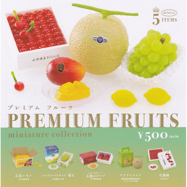 Premium Fruit Miniature Collection, Set of 5 Types