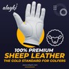 Alayki Birdie Premium Golf Glove for Left Hand - 100%