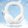 RANOME Fluffy Ear Muffs Winter Women Foldable Fuzzy Earmuffs for