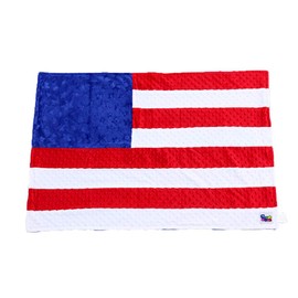Minky Dot Plush USA Flag 24" x 36" Baby Blanket