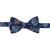 Trafalgar Pajarita de seda para hombre Birds of Prosperity, Azul