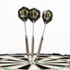 Keltik Dart Set Karadoc Steel in 2 Variations