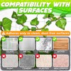 Plant Wall Clips for Climbing Plants 110 Pcs - Pothos