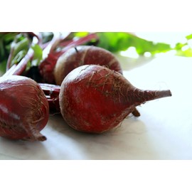 Beet Seeds- Detroit Dark Red- 100+ Seeds